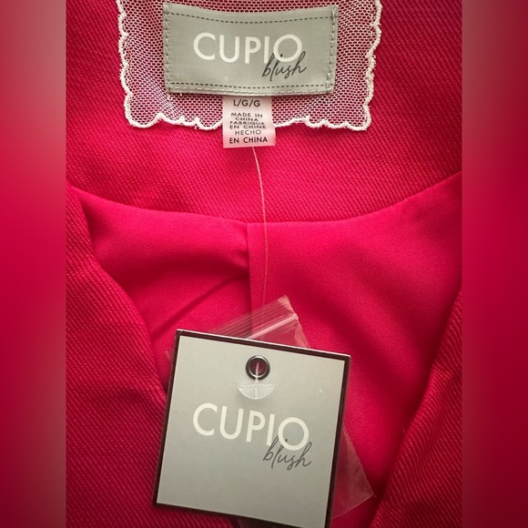 Cupio Blush Pink Scalloped Neck Pink Vest - Size L - NWT - Picture 7 of 7